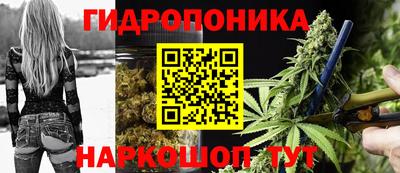 PSILOCYBIN Шелехов