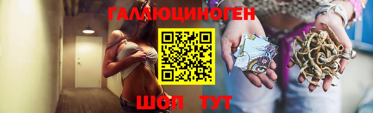 Псилоцибиновые грибы Psilocybe  Вход с VPN  Нальчик 